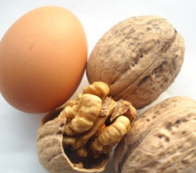 核桃深加工——核桃油，核桃粉，核桃工藝品，活性炭制品(圖2)