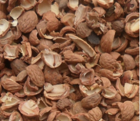 核桃深加工——核桃油，核桃粉，核桃工藝品，活性炭制品(圖3)