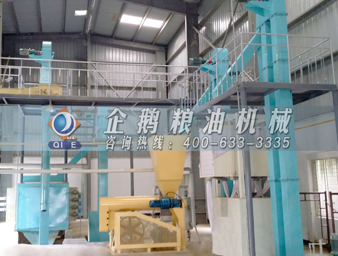 如何投資建設(shè)棕櫚油加工廠？企鵝糧油機械在線為您答疑解惑(圖4)