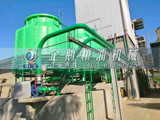 如何投資建設(shè)棕櫚油加工廠？企鵝糧油機械在線為您答疑解惑(圖3)