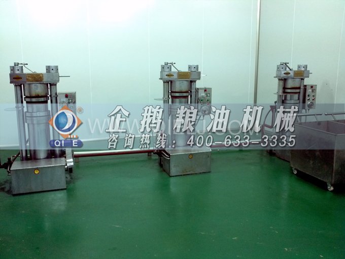芝麻油壓榨處理設(shè)備，企鵝牌液壓榨油機(jī)勇于創(chuàng)新生產(chǎn)效率高(圖4)