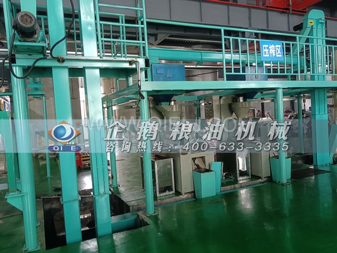 企鵝牌核桃油榨油設(shè)備，生產(chǎn)綠色健康油受大眾喜愛(圖4)